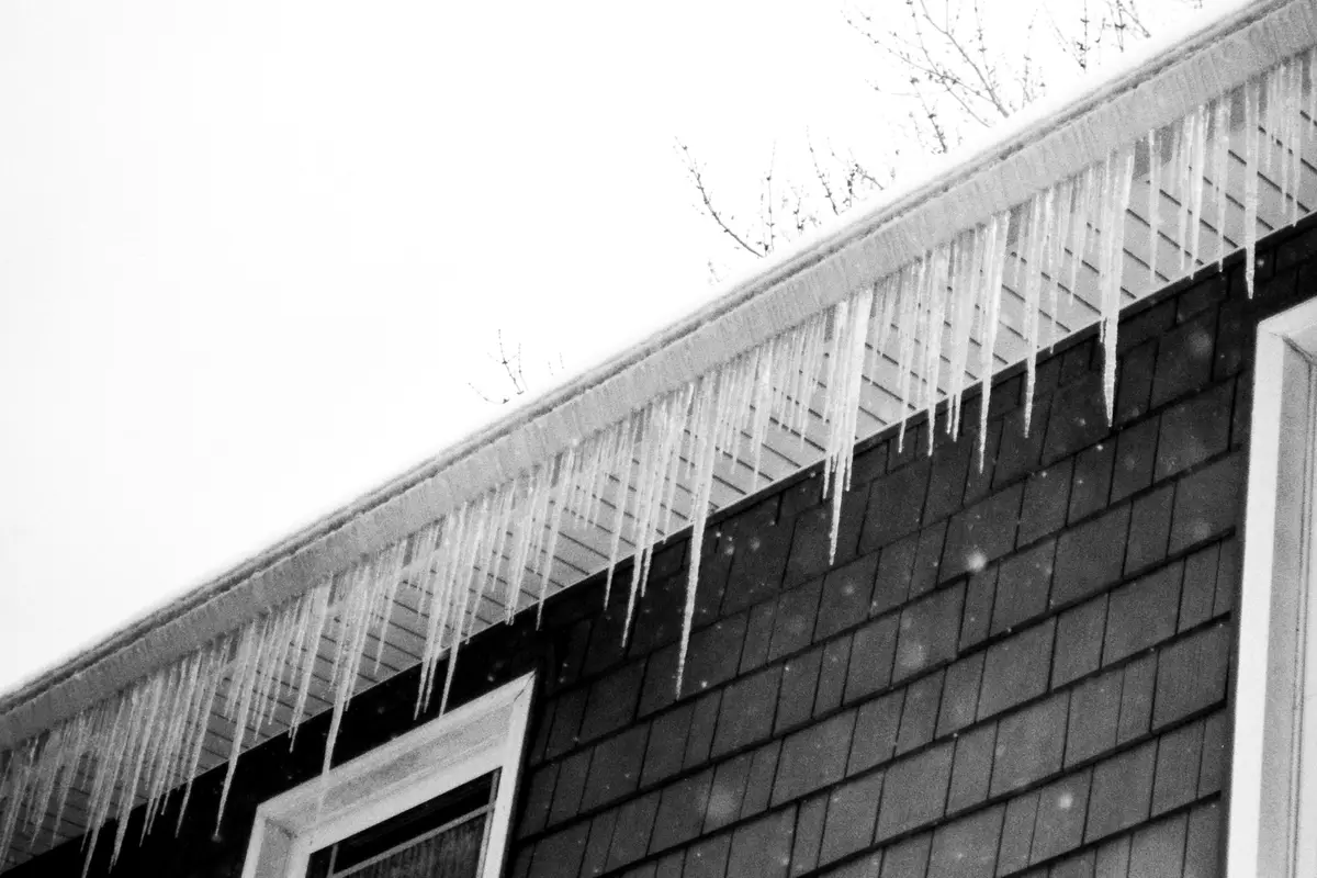 Icicles hanging from the roof edge of a shingled house